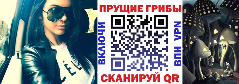 Псилоцибиновые грибы MAGIC MUSHROOMS  где продают   Светлоград 