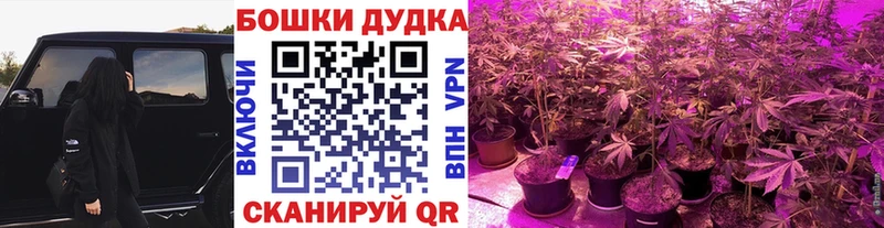 Канабис SATIVA & INDICA Светлоград